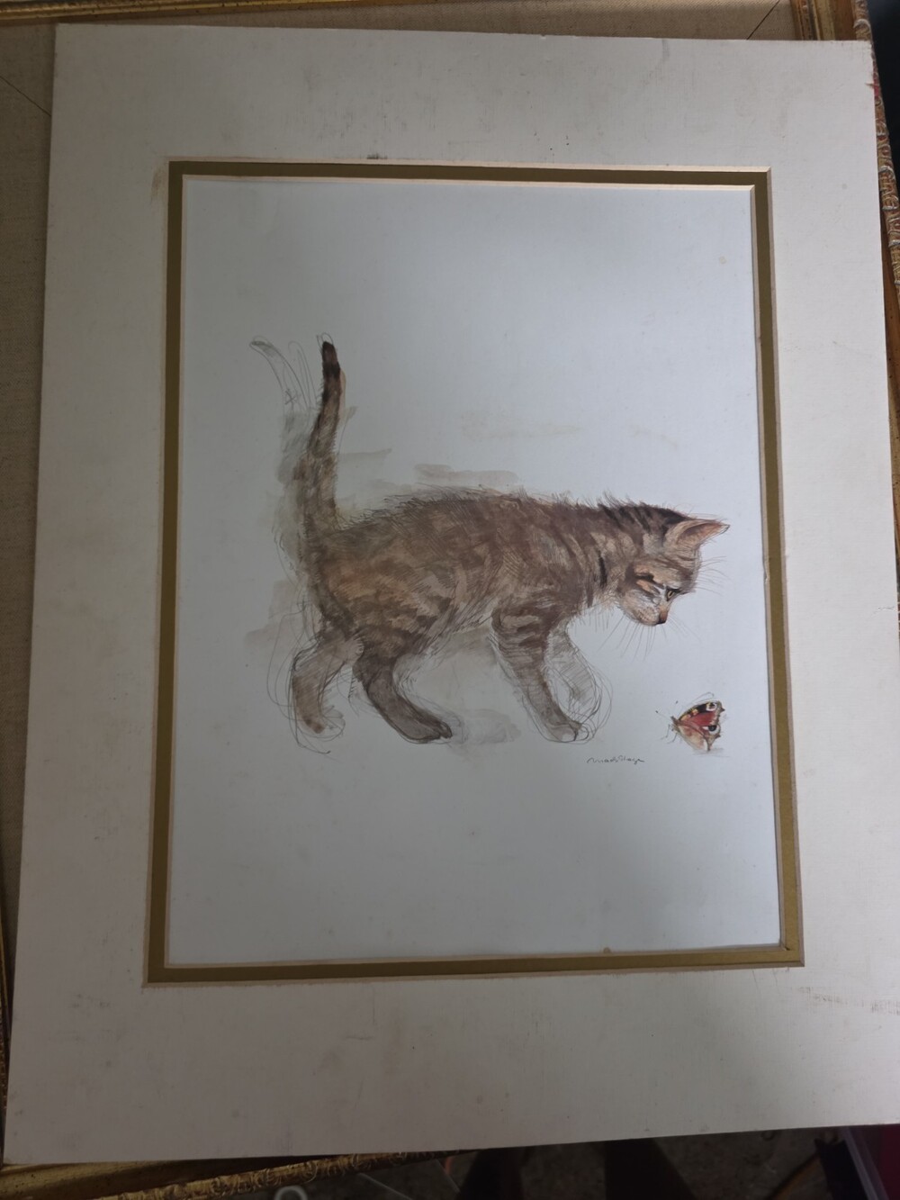 Art Print Kitten With Butterfly By Mads Stage Danish Artist
